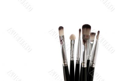 brushes