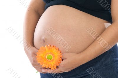 Pregnant whit flower