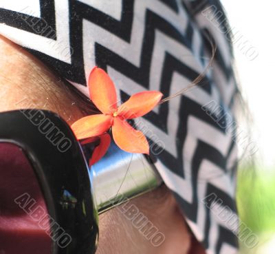 orange flower in the hair