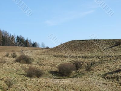 hills