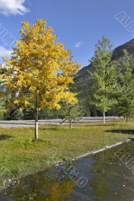 The autumn has come.