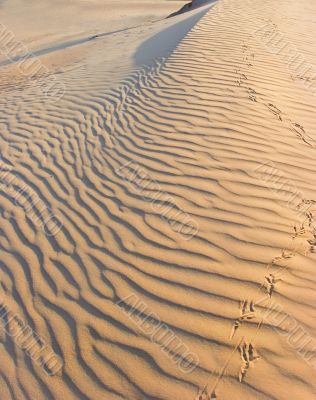 Sandy waves.