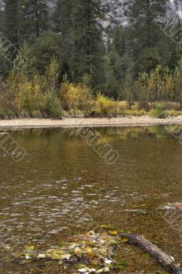 In the autumn of water it is a little