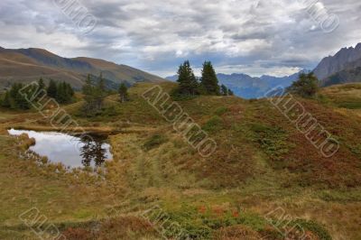 Bright autumn grasses