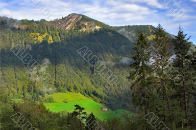 Lawn in a valley.