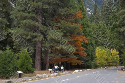 The autumn begins.