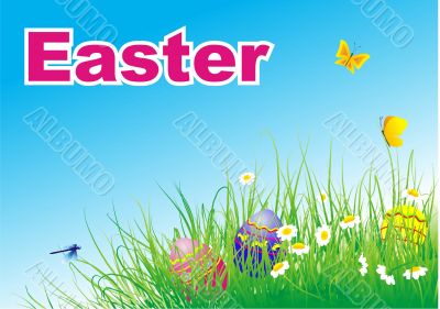 easter eggs on green grass