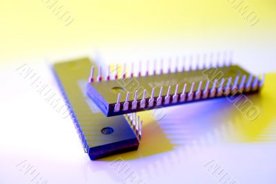 microchip