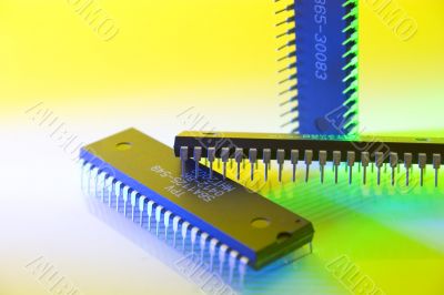 microchip