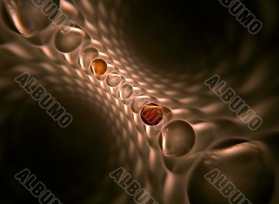 Skin of the snake