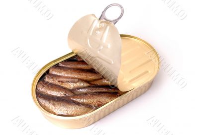 Sprats can