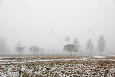 autumn garden in fog and snow