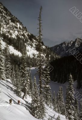 Snowshoers in winter valley