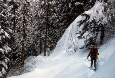 Snowshoer in deep snow,