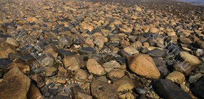 Granite pebbles, rounded by the ocean