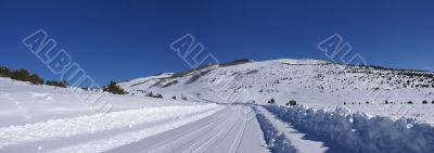 Tracks on snow covered road