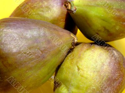 Ripe figs