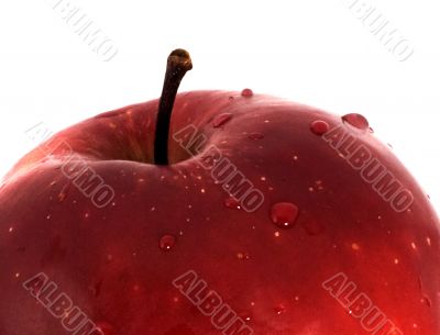 Red apple close up