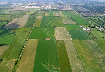  Aerial View of Farmland