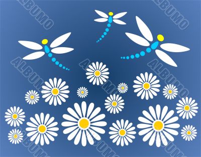 chamomiles and dragonflies