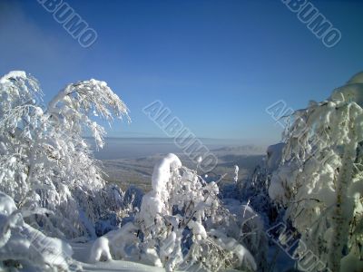 winter in mountains