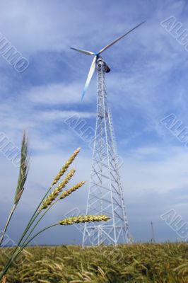 Wheaten field with a windmill