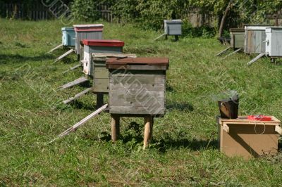 Several beehives at green grass