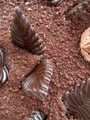 Chocolate leaves