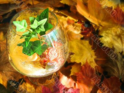 still-life