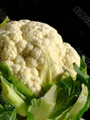 Cauliflower