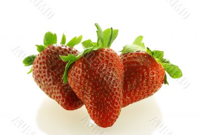 tree fresch ripe strawberries