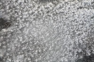 Ice on the puddle