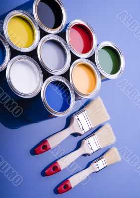 Paint brush and paint