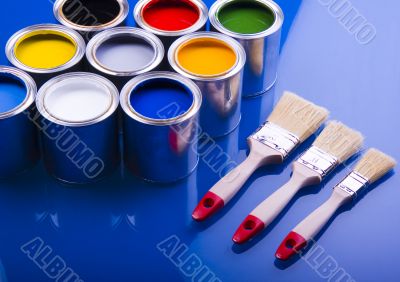 Paint brush and paint