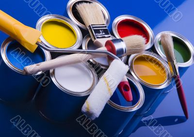 Paint brush and paint
