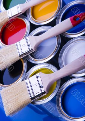 Paint brush and paint