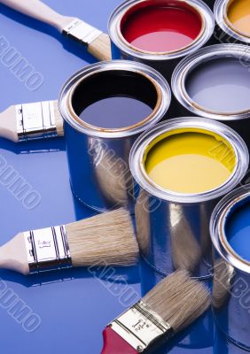 Paint brush and paint