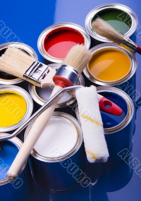 Paint brush and paint