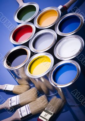 Paint brush and paint