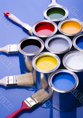 Paint brush and paint