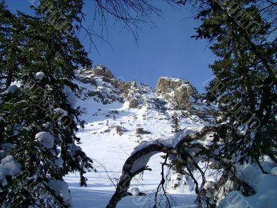 winter in mountains, rocks, woods