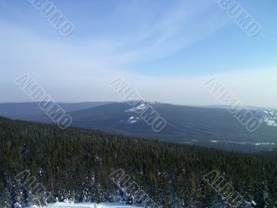 winter in mountains, woods