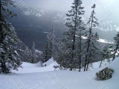 winter in mountains, forest, rocks