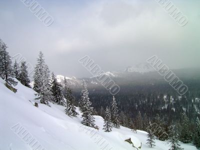 winter in mountains, forest, rocks