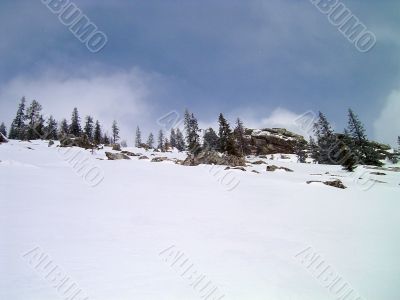 winter in mountains, forest, rocks