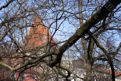 age-old tower hideing over the branch without leafs