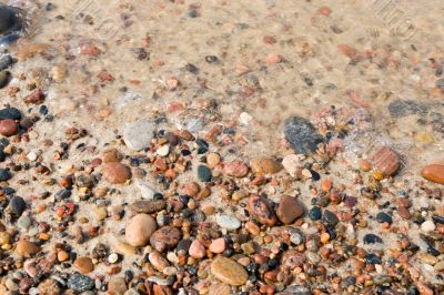 Seashore  background