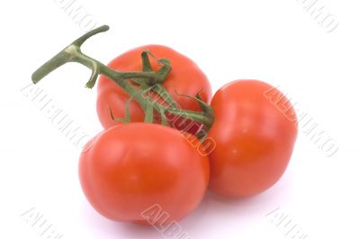 Three full red tomatoes on a branch.