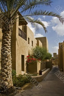 Arabian street with Palm Tree