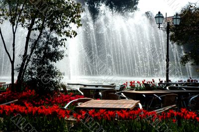 Spring pool and tulips